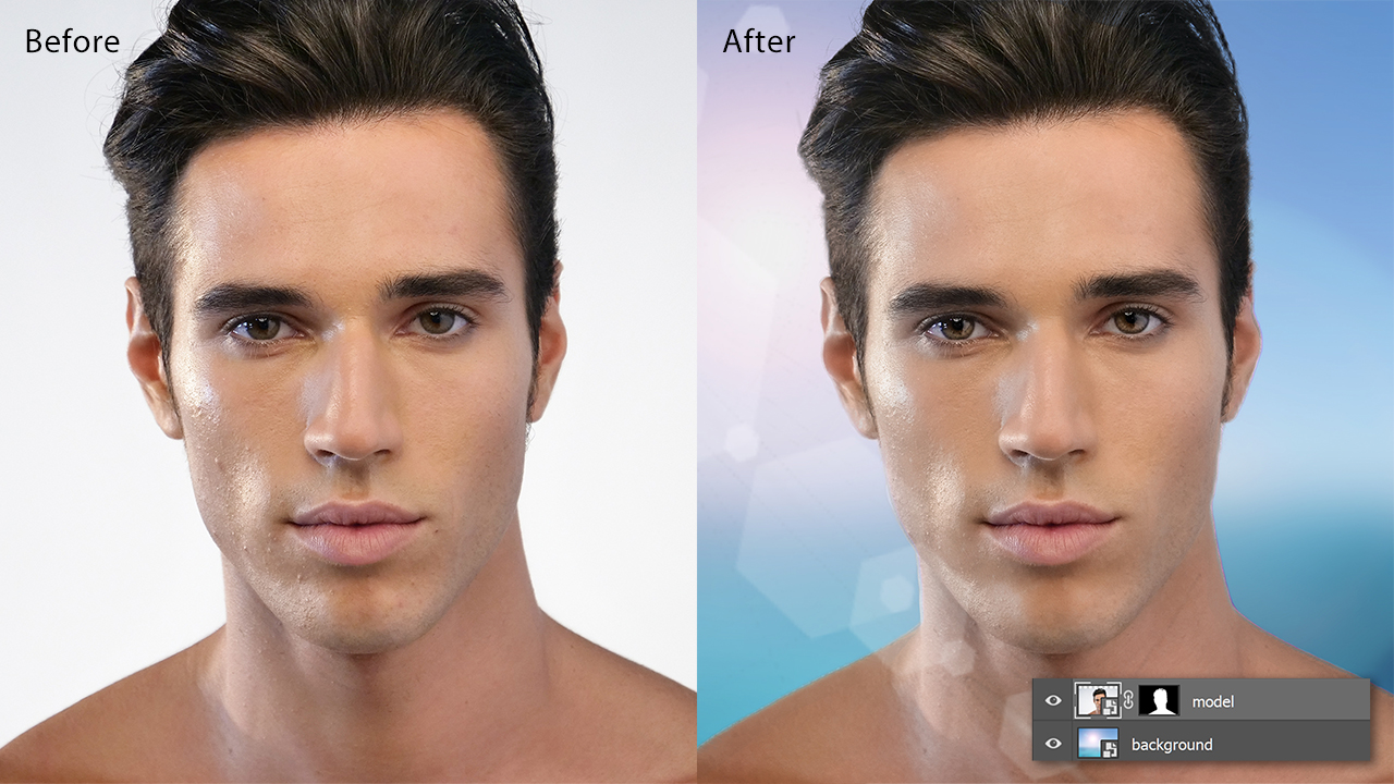 portrait professional download full version